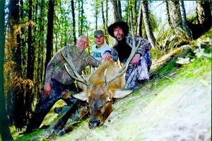 Elk: The mythical beast